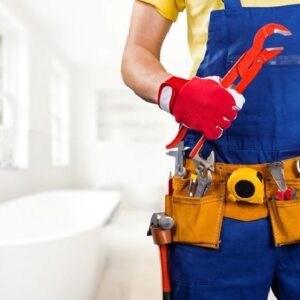 Plumer 1
