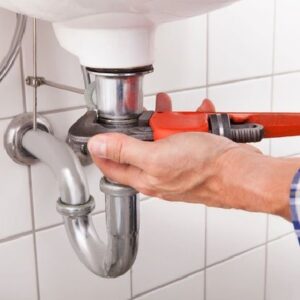 Plumer 3